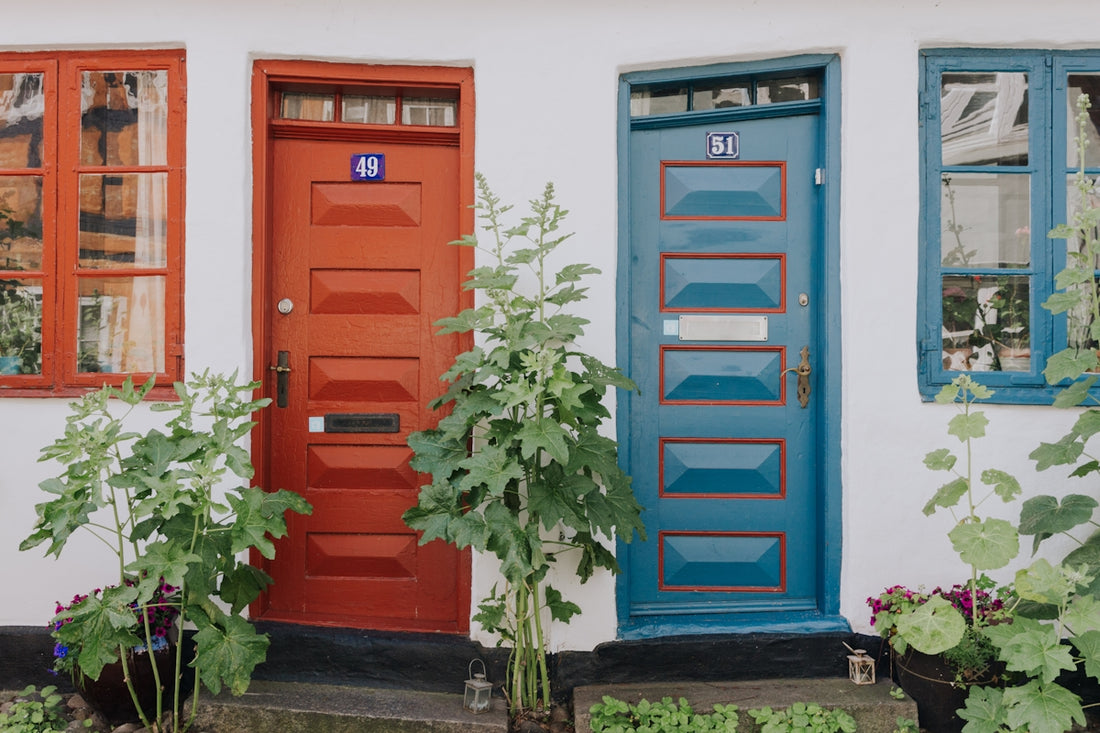green plant beside red wooden door