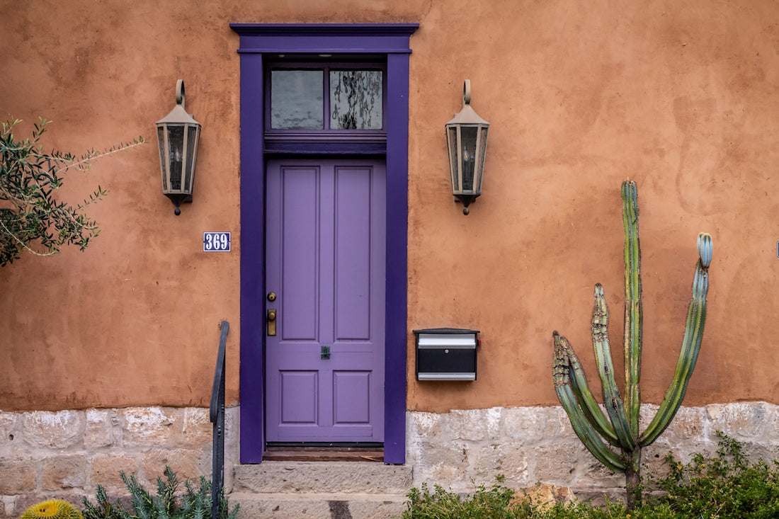 blue wooden door with green plant