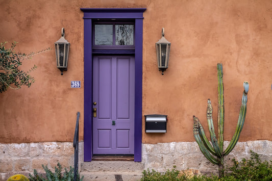 blue wooden door with green plant