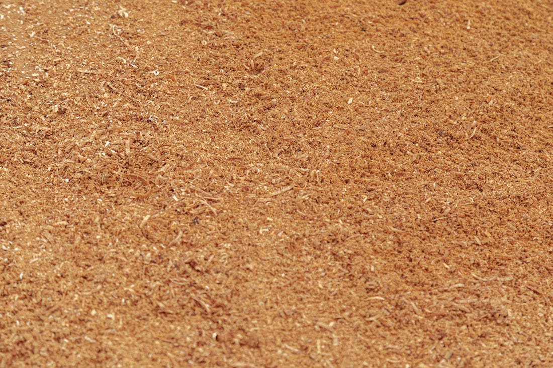 a baseball bat laying on a baseball field