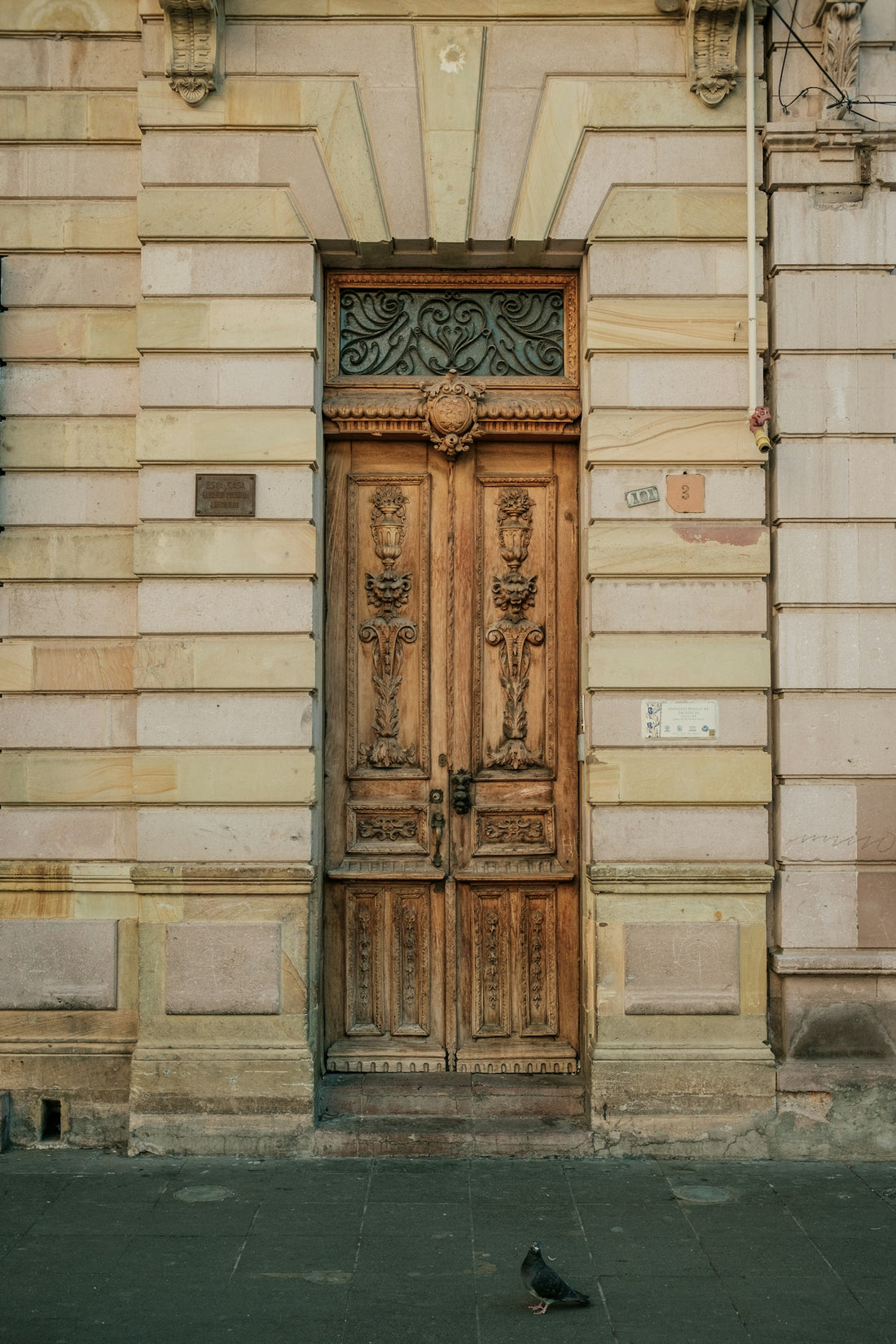 a bird sitting on the ground in front of a door
