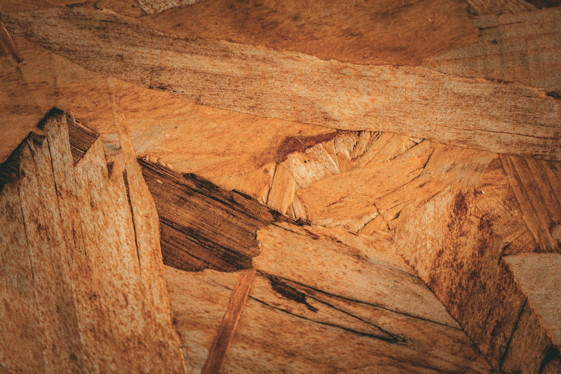 Close-up of textured wood grain with warm tones